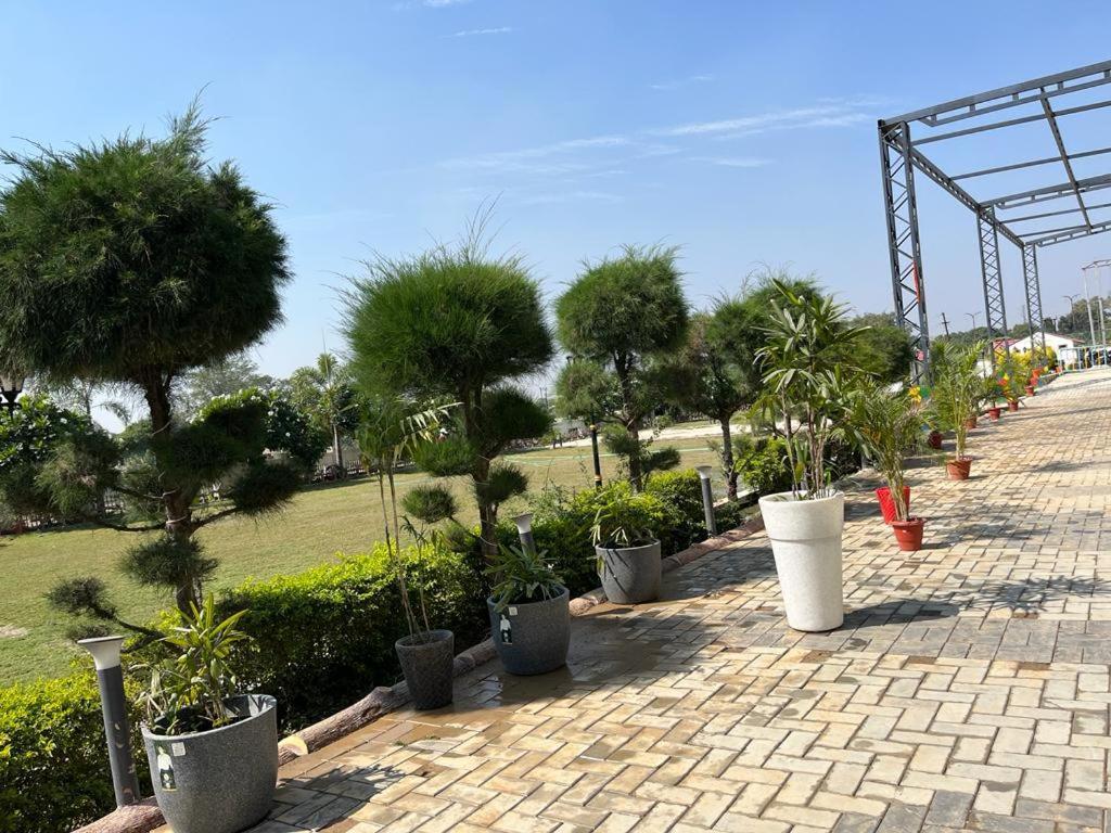 Hotel Eco Park Rewa 外观 照片